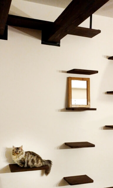 キャットウォーク